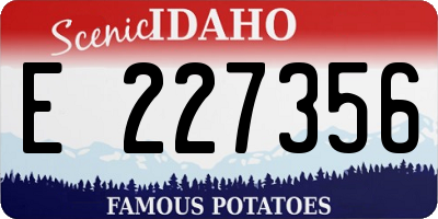 ID license plate E227356