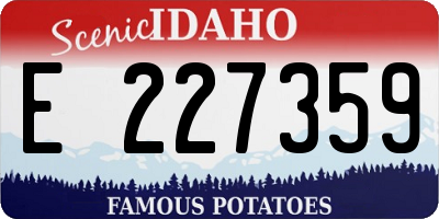 ID license plate E227359
