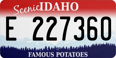 ID license plate E227360