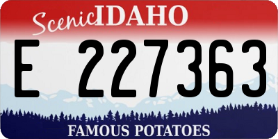ID license plate E227363