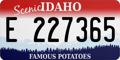 ID license plate E227365