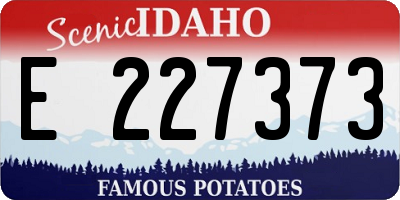 ID license plate E227373