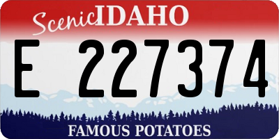 ID license plate E227374