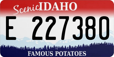 ID license plate E227380
