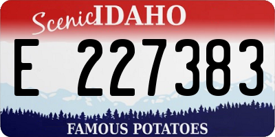 ID license plate E227383