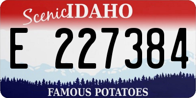 ID license plate E227384