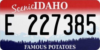 ID license plate E227385