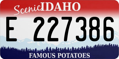 ID license plate E227386