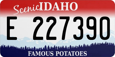 ID license plate E227390