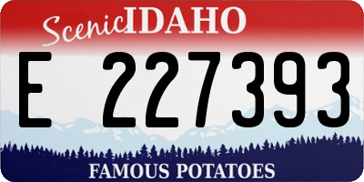 ID license plate E227393