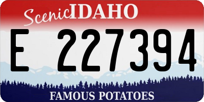 ID license plate E227394