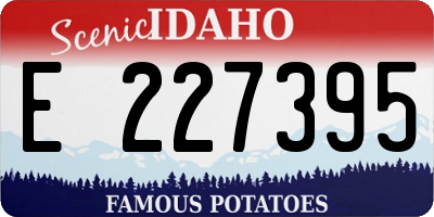 ID license plate E227395
