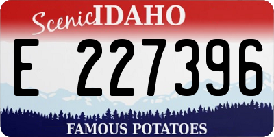 ID license plate E227396