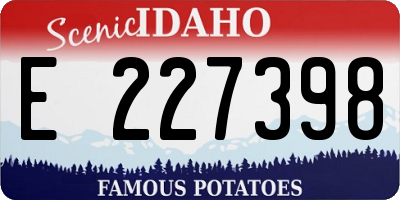 ID license plate E227398
