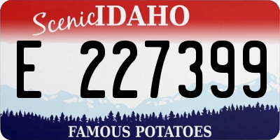 ID license plate E227399