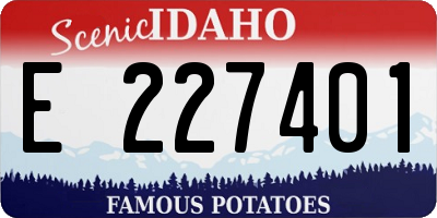 ID license plate E227401
