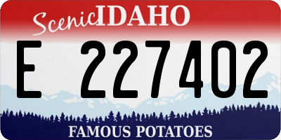 ID license plate E227402