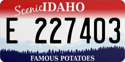 ID license plate E227403