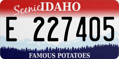 ID license plate E227405