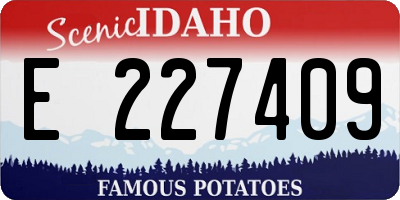 ID license plate E227409