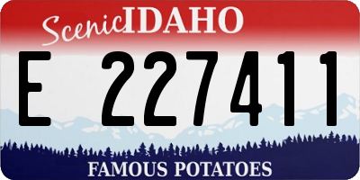 ID license plate E227411