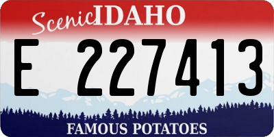 ID license plate E227413