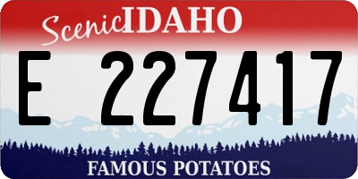 ID license plate E227417