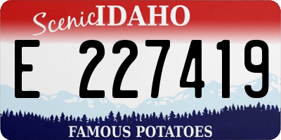 ID license plate E227419