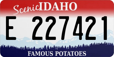 ID license plate E227421