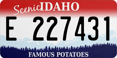 ID license plate E227431