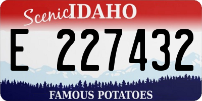 ID license plate E227432