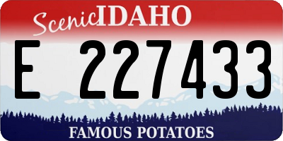 ID license plate E227433