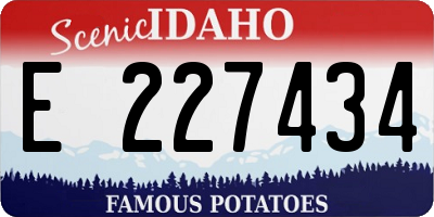 ID license plate E227434