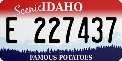 ID license plate E227437