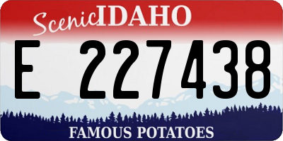 ID license plate E227438