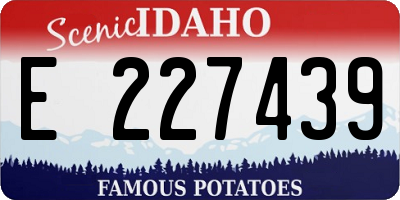 ID license plate E227439