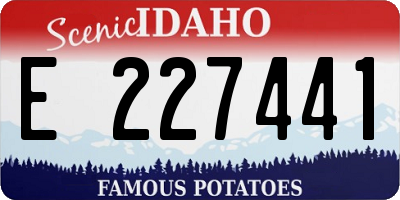 ID license plate E227441