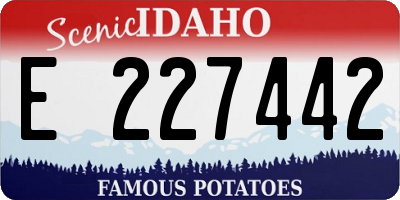 ID license plate E227442