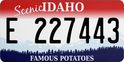 ID license plate E227443