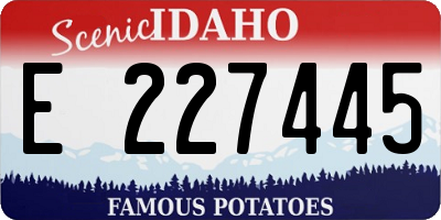 ID license plate E227445