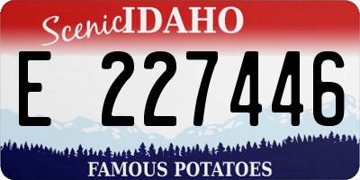 ID license plate E227446
