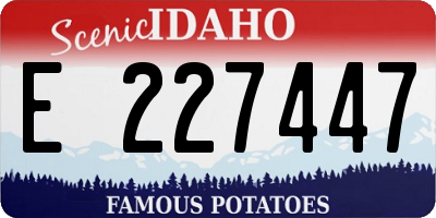 ID license plate E227447