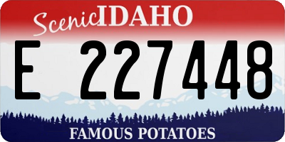 ID license plate E227448