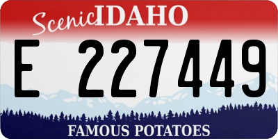 ID license plate E227449