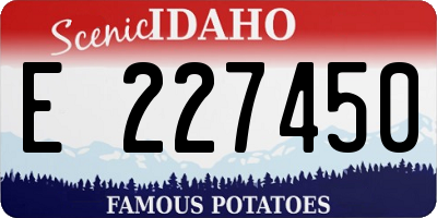 ID license plate E227450