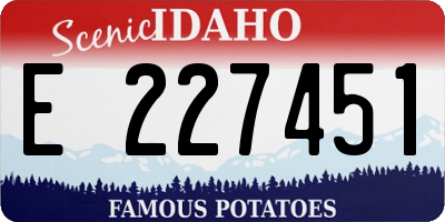 ID license plate E227451