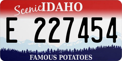 ID license plate E227454