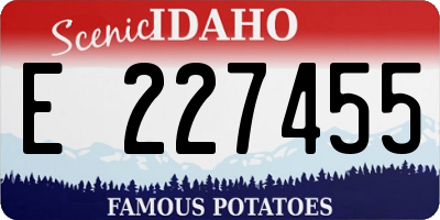 ID license plate E227455