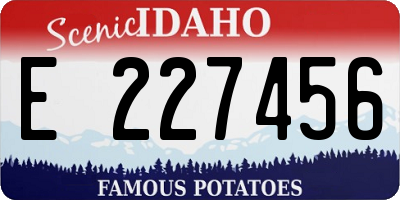 ID license plate E227456