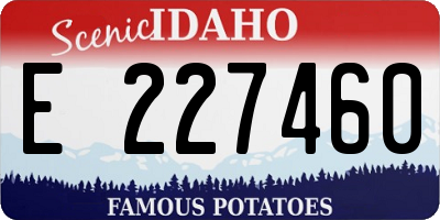 ID license plate E227460